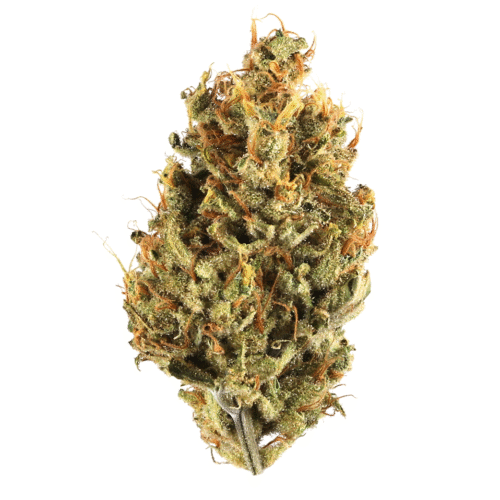 Tropical Summer 32.64% Sativa Supreme