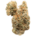 Georgia Pie Smalls 20% - Hybrid