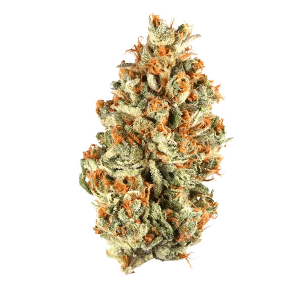 Pave' Supreme 32.09% - Hybrid
