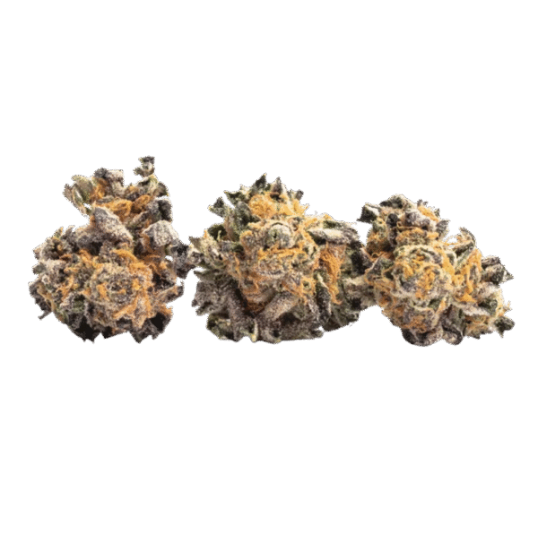 Purple Push Pop Smalls 20.95% - Indica
