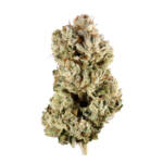Gorilla Glue #4 | Signature | Hybrid | 28.90%