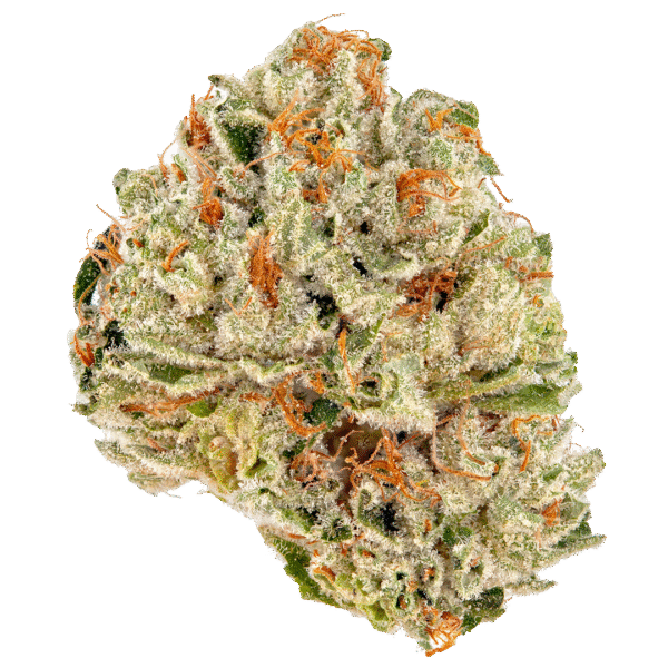 Illuminati Smalls 23% - Indica
