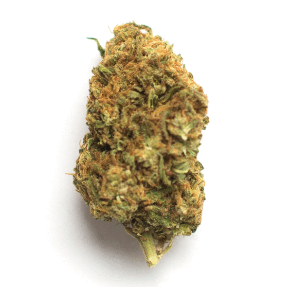 Hella Jelly Smalls 23.09% - Sativa - Image 2