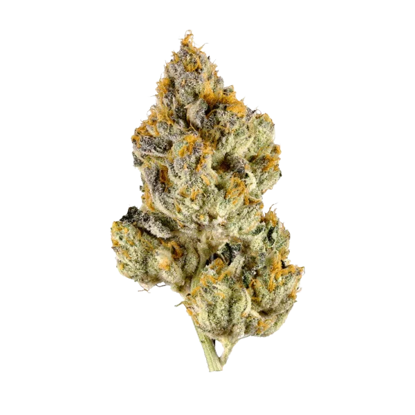 Lemon Cherry Gelato Smalls 29.35% - Hybrid