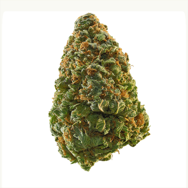 Green Crack Signature 30.80% - Sativa