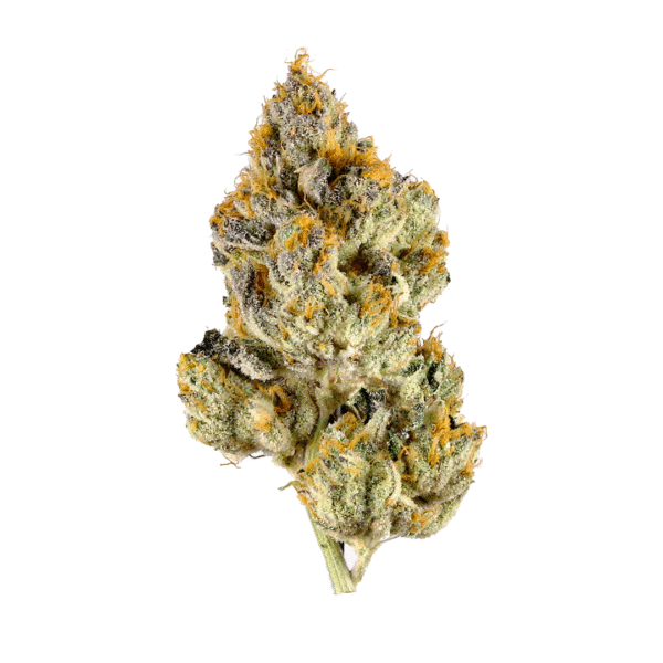 Jet Fuel Signature 32.41% - Sativa