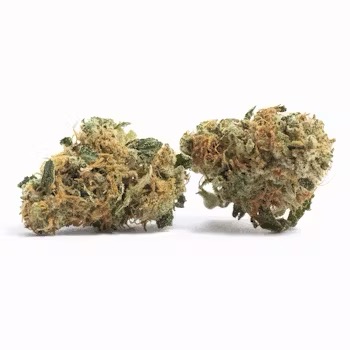 Maui Wowie | Supreme | Sativa | 33.09%