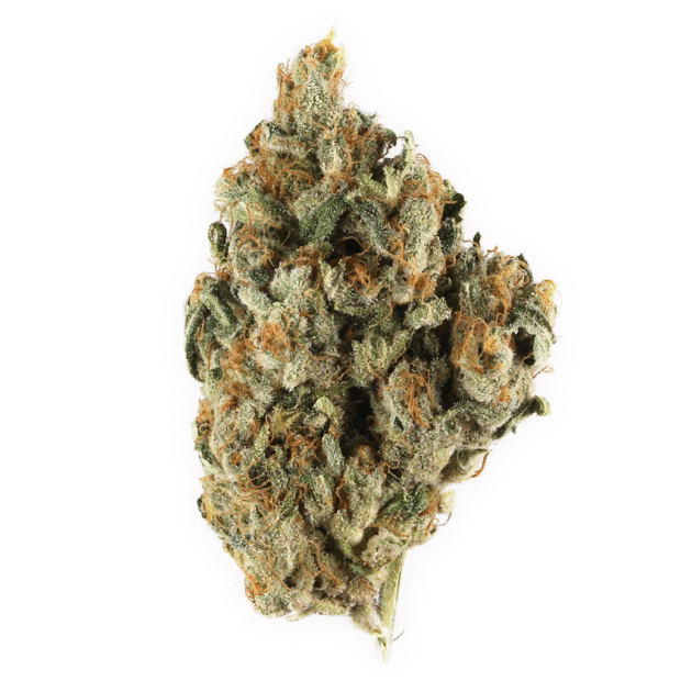 DoSiDos | Supreme | Indica | 33.07%