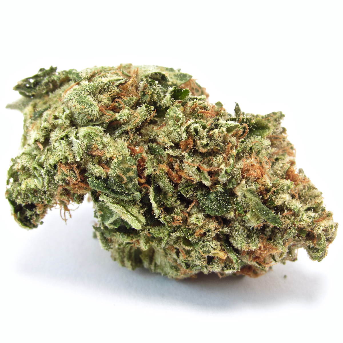 Motorbreath | Supreme | Hybrid | 31.35%