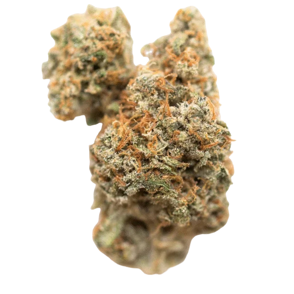 Georgia Pie | Smalls | Hybrid | 20%