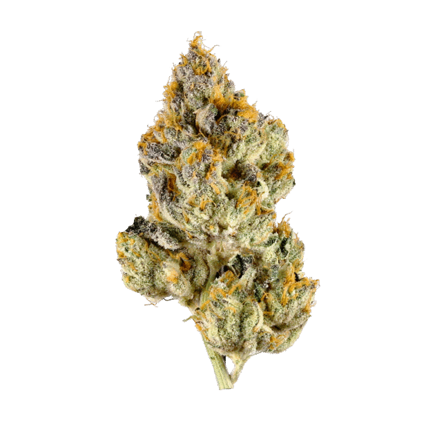Jet Fuel | Signature | Sativa | 32.41%