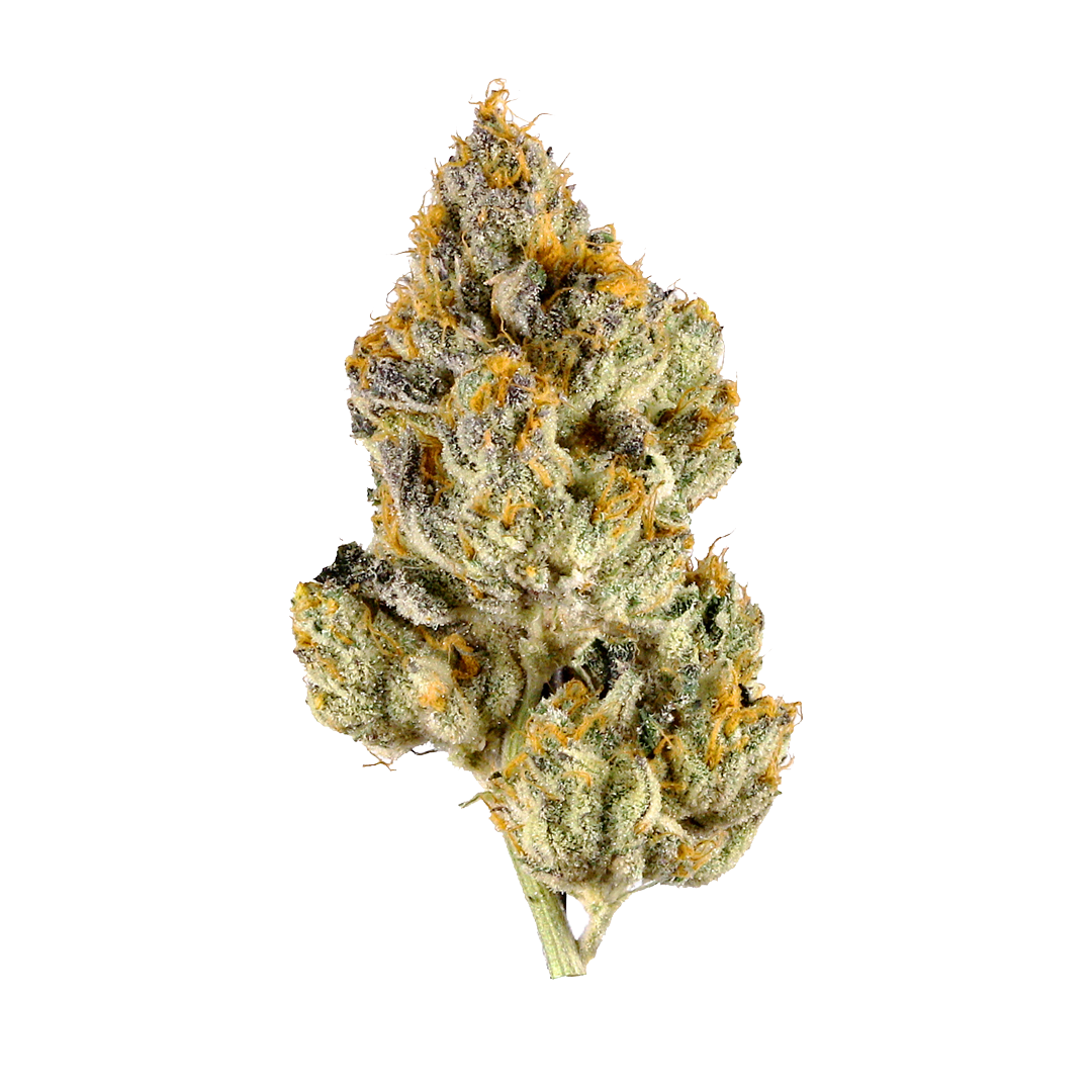 Jet Fuel | Signature | Sativa | 32.41%