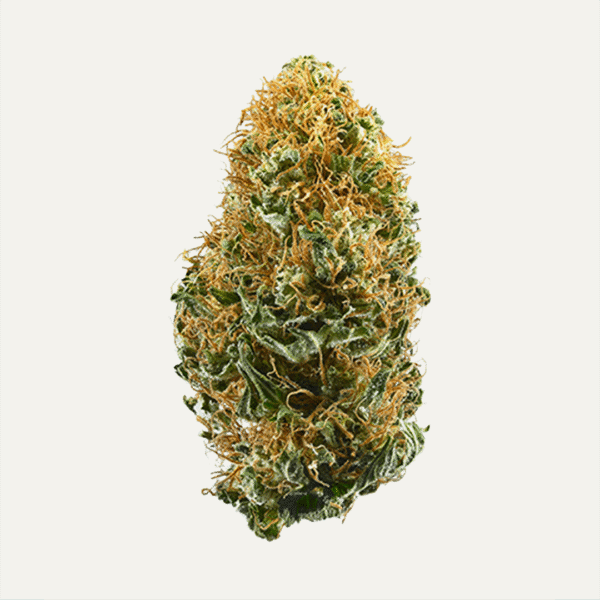 White Widow | Signature | Hybrid | 25.72%