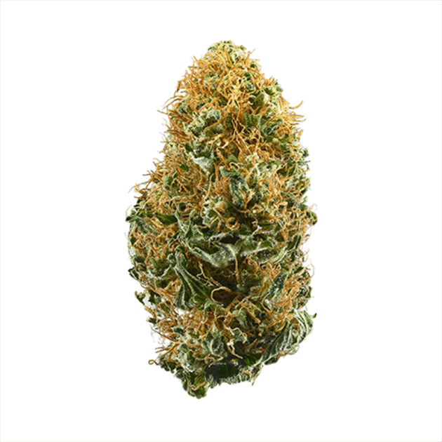 White Widow | Signature | Hybrid | 25.72%